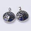 Natural Lapis Lazuli Pendants G-P350-D06-1