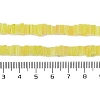 Handmade Lampwork Beads Strands LAMP-Q037-02B-02-4