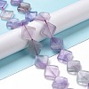 Natural Fluorite Beads Strands G-L239-10-2