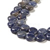 Natural Sodalite Beads Strands G-M403-C11-4