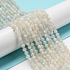 Natural Moonstone Beads Strands G-F736-01-AB-5