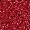MIYUKI Delica Beads SEED-MY11-DB0214-1