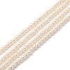 Glass Pearl Beads Strands HY-YW0001-07-2