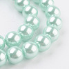 Eco-Friendly Dyed Glass Pearl Round Beads Strands HY-A002-10mm-RB034N-3