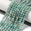 Natural Amazonite Beads Strands LS-G-G140-A18-03-A-2