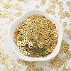 Ornament Accessories Plastic Paillette/Sequins Beads PVC-E001-13-LS01-4