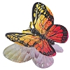 Plastic Claw Hair Clips PW-WGF83A6-04-1