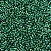 MIYUKI Delica Beads X-SEED-J020-DB1788-3