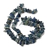 Natural Kyanite/Cyanite/Disthene Chip Beads Strands X-G-E271-78-6