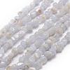Natural Blue Lace Agate Beads Strands G-F465-03-1