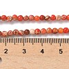 Dyed Natural Regalite/Imperial Jasper/Sea Sediment Jasper Beads Strands G-B124-C05-03-2