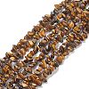 Natural Tiger Eye Chips Beads Strands F012-2-1