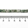 Natural Green Spot Jasper Beads Strands G-Z045-A02-01-5