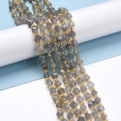 Natural Labradorite Beads Strands G-P463-35-1
