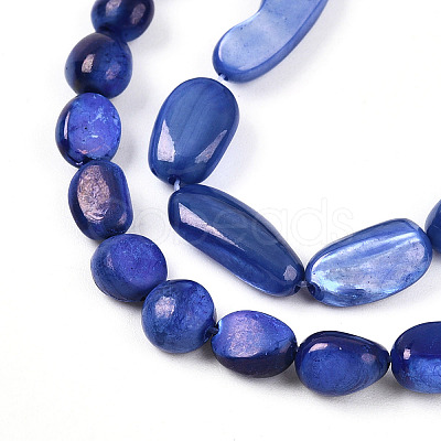 Natural White Shell Beads Strands SHEL-N036-21B-1
