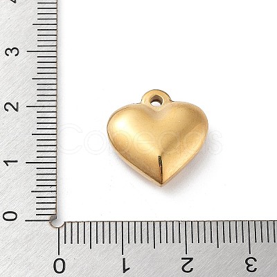 304 Stainless Steel Pendants STAS-M326-01B-G-1