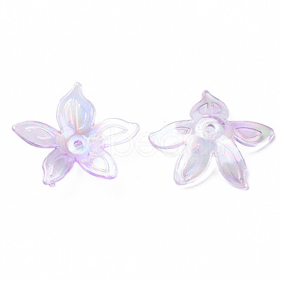Transparent Acrylic Beads MACR-S373-102-C03-1