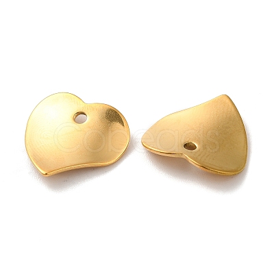Ion Plating(IP) 304 Stainless Steel Pendants STAS-M004-02G-1