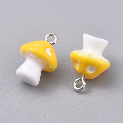 Plastic Pendants KY-TAC0005-04B-1