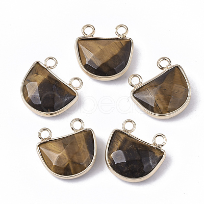 Natural Tiger Eye Semi Circle Pendants G-S359-011C-1