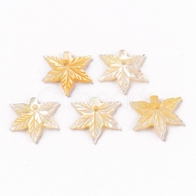 Natural Yellow Shell Charms SSHEL-R144-34-1