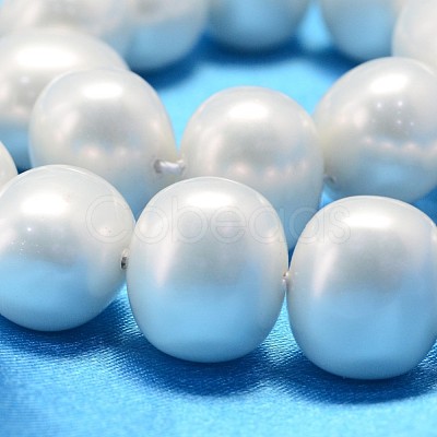 Oval Shell Pearl Bead Strands BSHE-L013-S-A013A-1