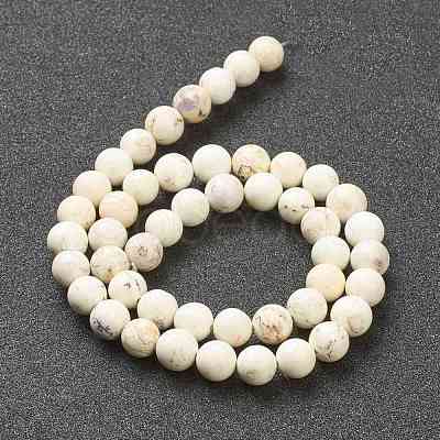 Nrtutal Magnesite Beads Strands G-L575-01C-1