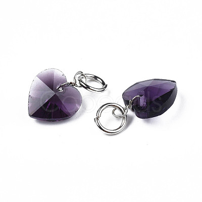 Faceted Transparent Glass Charms GLAA-T024-04-1