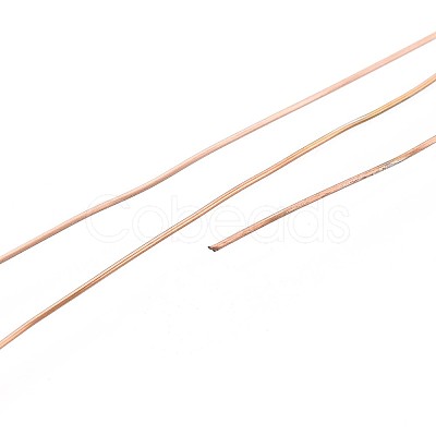 10M 304 Stainless Steel Wire TWIR-N005-0.4mm-RG-1