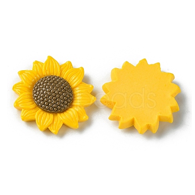 Opaque Resin Cabochons RESI-H146-02B-1