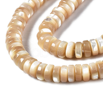 Natural Trochid Shell/Trochus Shell Beads Strands SSHEL-S266-019B-02-1