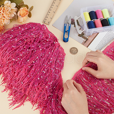 5M Paillette Tassel Polyester Ribbon Trim OCOR-BC0006-56C-1