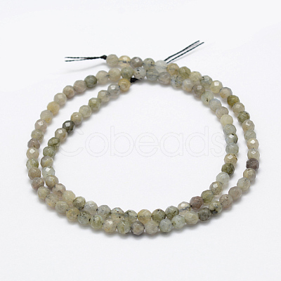 Natural Labradorite Beads Strands G-P322-28-4mm-1