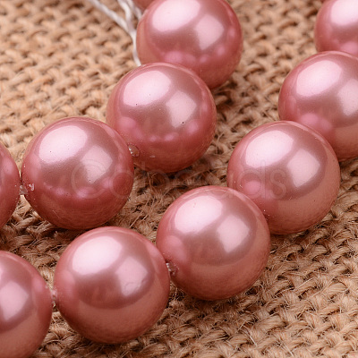 Polished Round Grade A Shell Pearl Bead Strands BSHE-M027-6mm-13-1