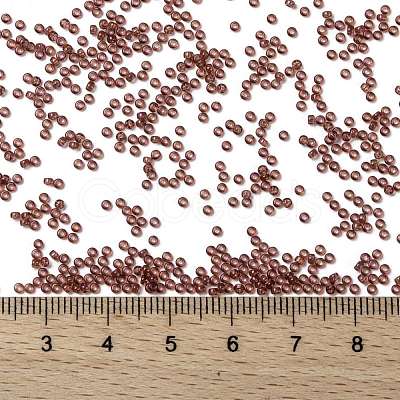 MIYUKI Round Rocailles Beads X-SEED-G009-RR0303-1