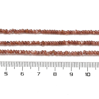 Natural Freshwater Shell Beads Strands SHEL-P017-01A-15-1