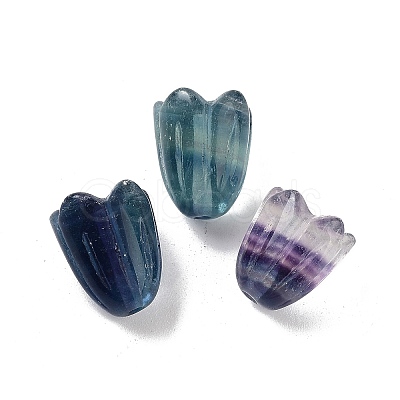 Natural Fluorite Beads G-A222-03F-1