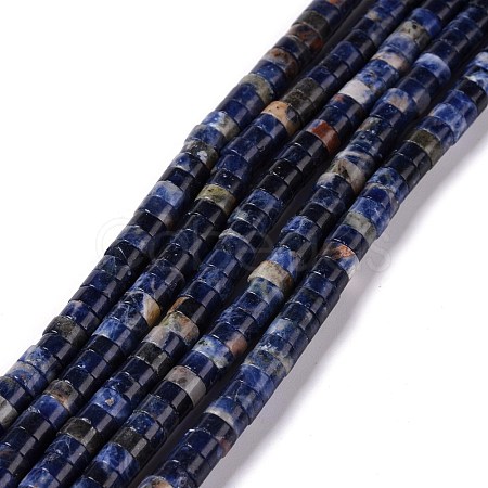 Natural Sodalite Beads Strands G-C240-04A-1