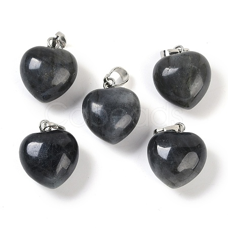Natural Labradorite Pendants G-J386-H15-P-1