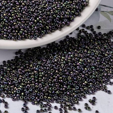 MIYUKI Round Rocailles Beads X-SEED-G009-RR2019-1
