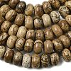 Natural Picture Jasper Beads Strands G-A280-A03-02-4