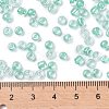 6/0 Glass Seed Beads SEED-A015-4mm-2219-4