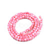 Natural Freshwater Shell Beads Strands SHEL-N003-33-A09-2
