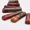 Natural Picasso Stone/Picasso Jasper Beads Strands G-P298-H02-2