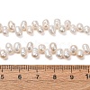 Natural Cultured Freshwater Pearl Beads Strands PA-CBABE82-03B-5