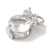 Rack Plating Brass Micro Pave Clear Cubic Zirconia Charms KK-B092-27P-2