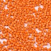 FGB 11/0 Grade A Glass Seed Beads X-SEED-S030-1019-2