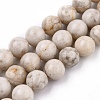 Natural Maifanite/Maifan Stone Beads Strands G-I187-6mm-01-5