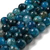 Faceted Natural Dragon Veins Agate Beads Strands G-F447-12mm-P05-2