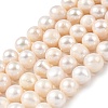 Natural Cultured Freshwater Pearl Beads Strands PEAR-I007-07U-01B-2